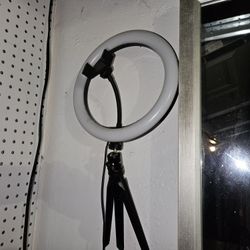 Light With Phone Holder