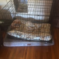 Dog Crate