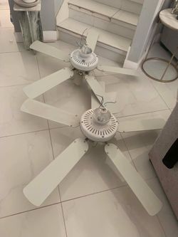 Ceiling fans