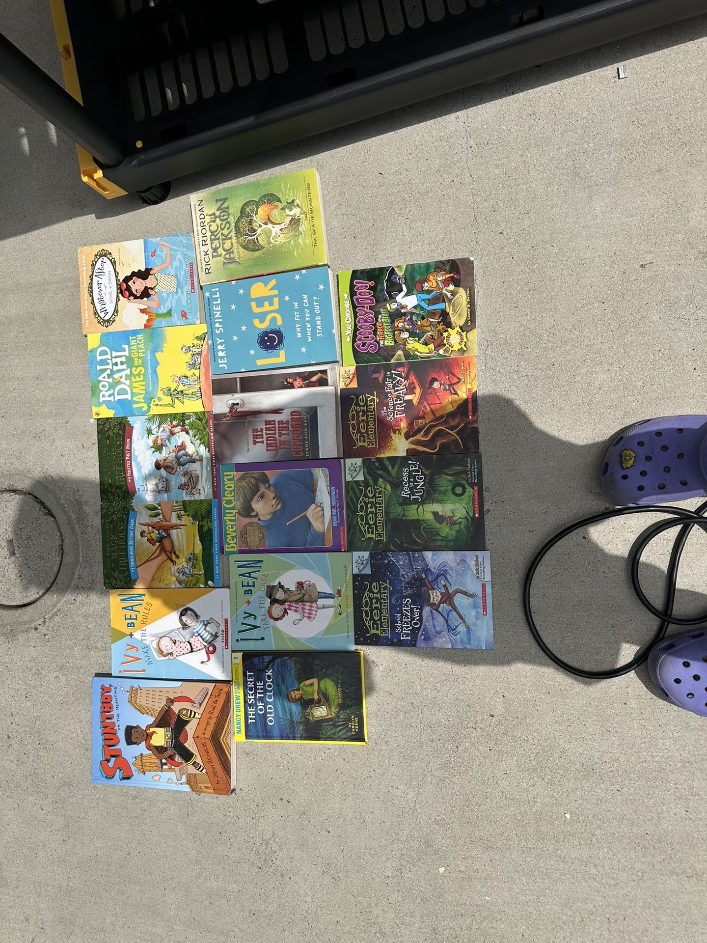 Graphic Novels/chapter Books For Young Readers