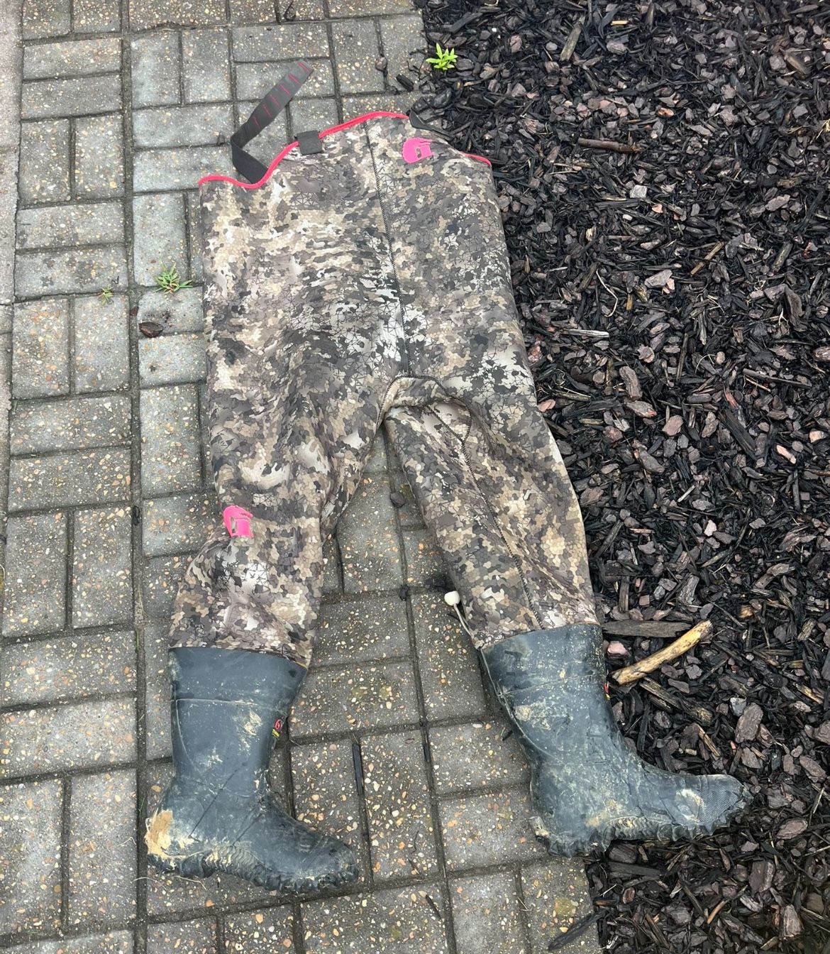 Gator Waders
