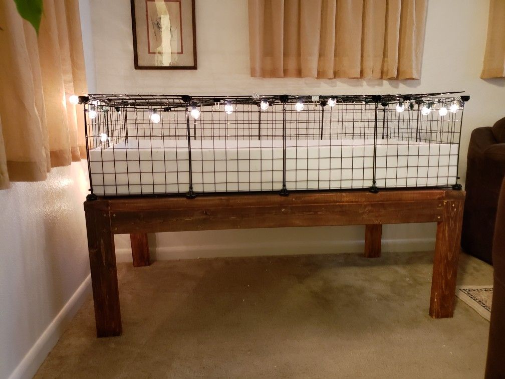 Guinea pig cheap cage stand