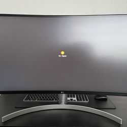 LG UltraWide 38” Monitor 38WN95C-W