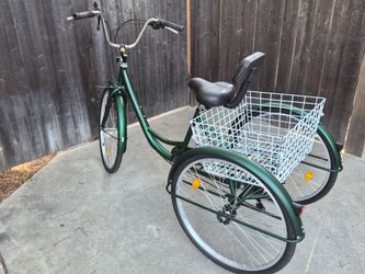 Adult Trycicle