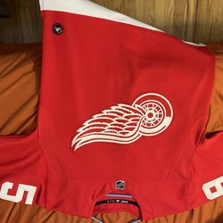 Detroit Red Wings Jersey