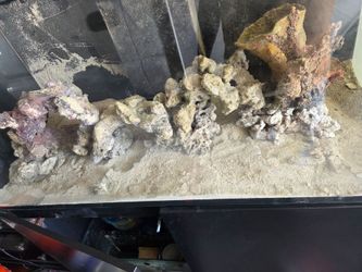 Rock