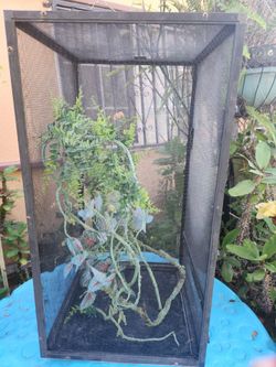 Terrarium
