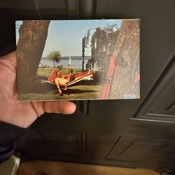 C'mon daddy vintage Postcard