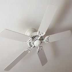 Ceiling Fan 