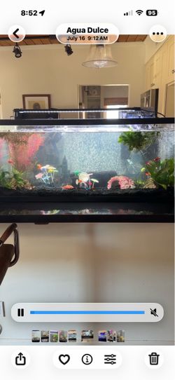 80 gallon Aquarium