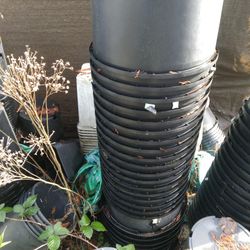 Growing Pots For Sale.