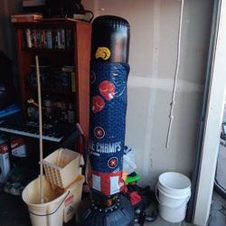 Punching Bag Abd Gloves 