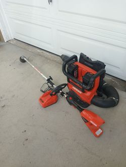 Echo battery blower and weed Wacker