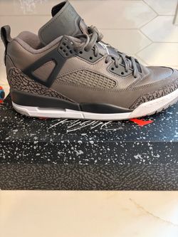Jordan Spizike Low