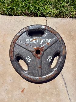 25 lb Weight
