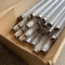 T8 Fluorescent Tubes – 4ft – $1 Each (10+ Minimum)