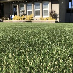 Synthetic Turf 
