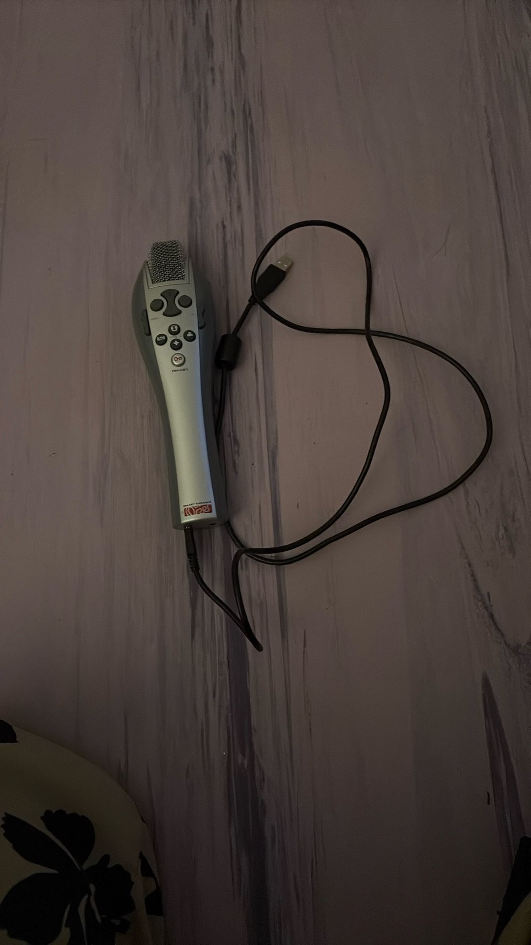 Karaoke Microphone