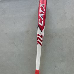 Baseball Bat