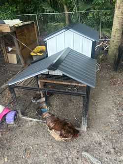 Chicken coop