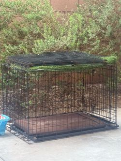 Dog crate medium size 40$