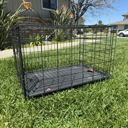 Dog kennel 