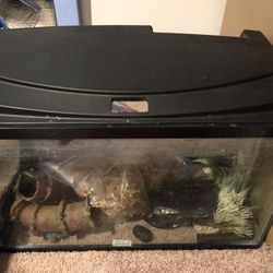 10 Gallon Fish Tank and Supplies