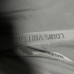 grey LV bag