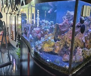 110 Gal saltwater tank full setup