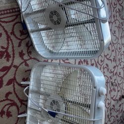Box Fans