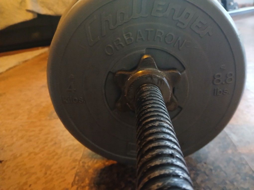 Curl Bar