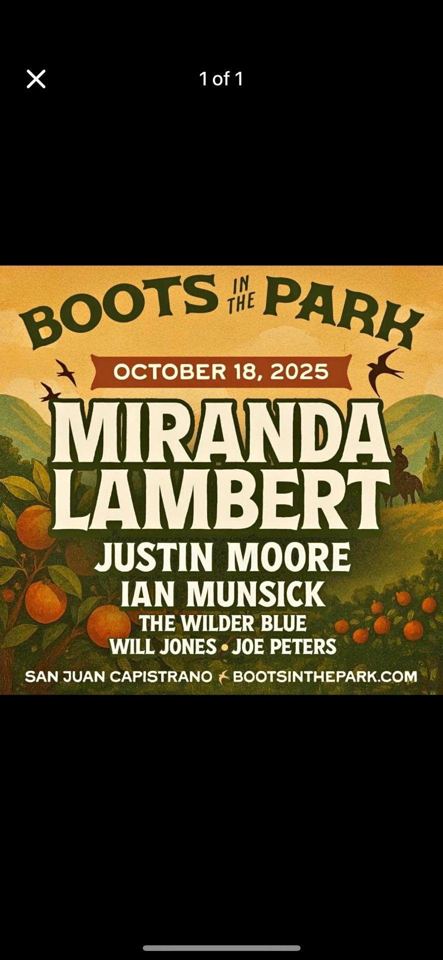 Boots In The Park