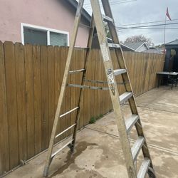 8 Ft Ladder 