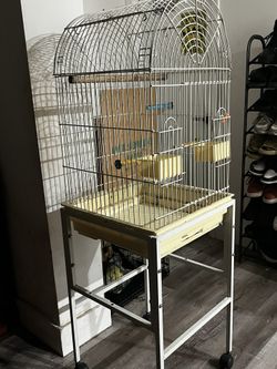 Bird Cage