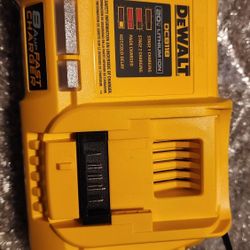 Dewalt Fast Charger 