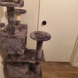 Tree Cat