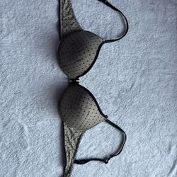 Dolce And Gabbana Bra