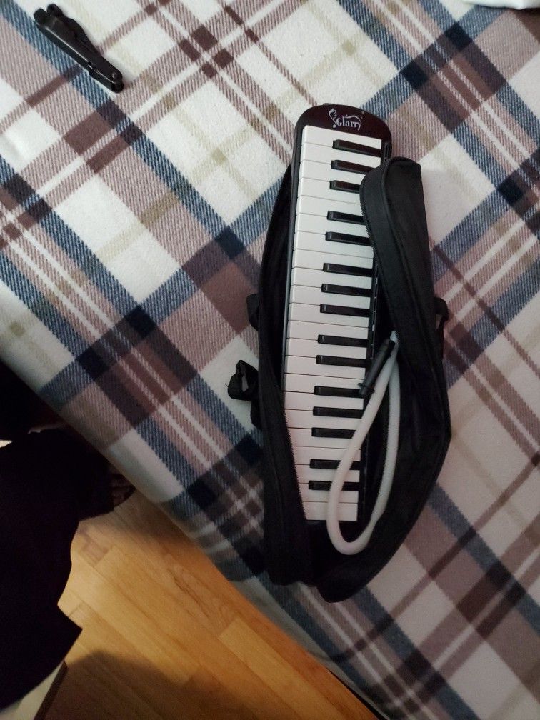 Melodica For Beginners