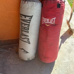 Punch Bag
