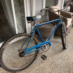 Free 60’s Bike 