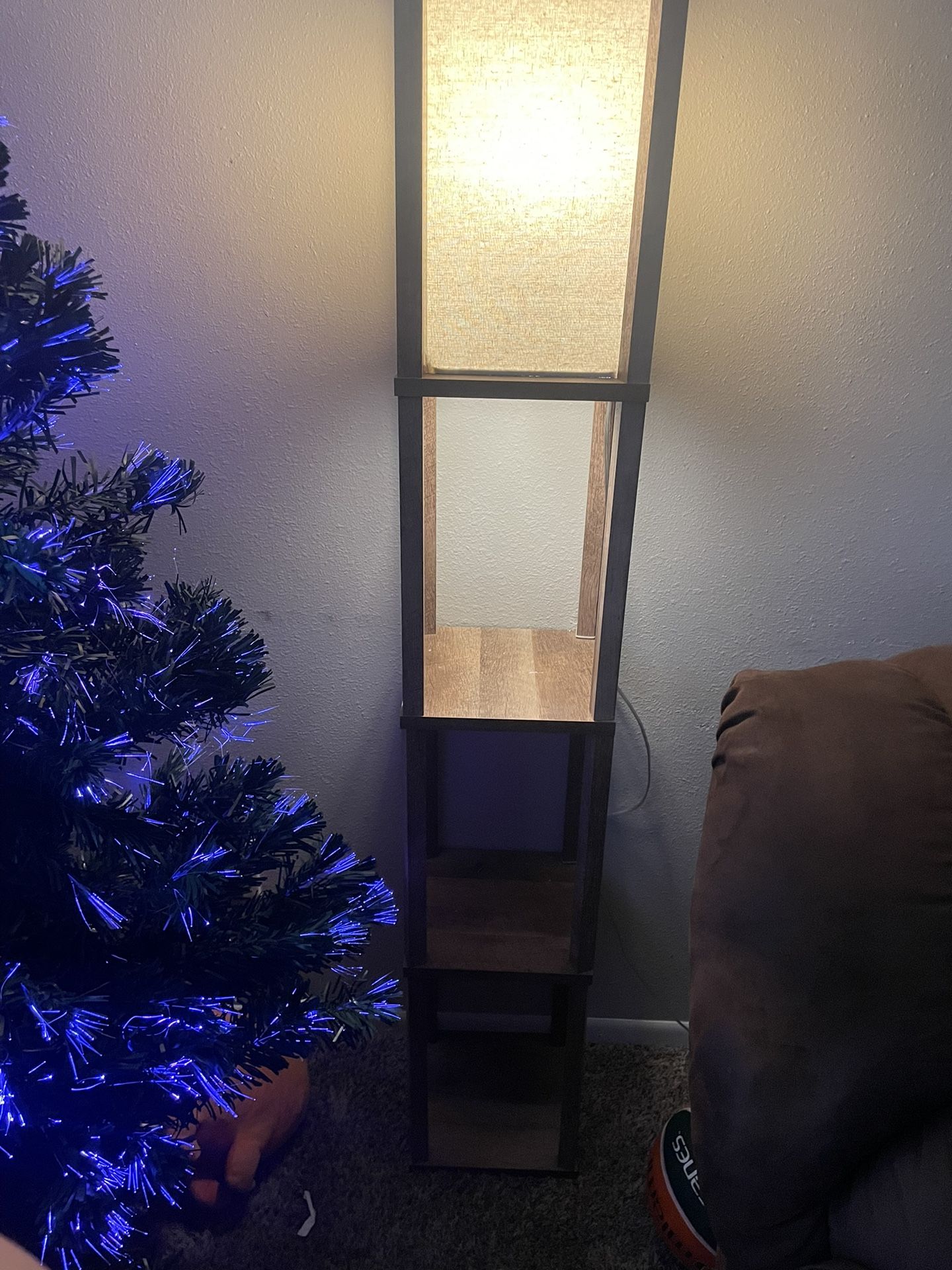 Floor Lamp With Shelves
