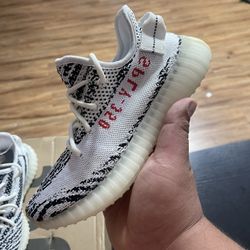 ADIDAS YEEZY ZEBRA 