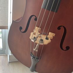 Upright Bass Double Bass Fender Gibson Tiger Army 