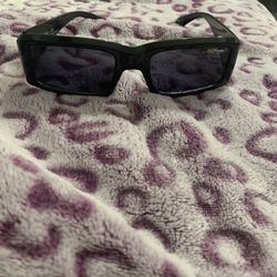 Ed Hardy Dragon Sunglasses