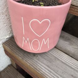 Pot $25