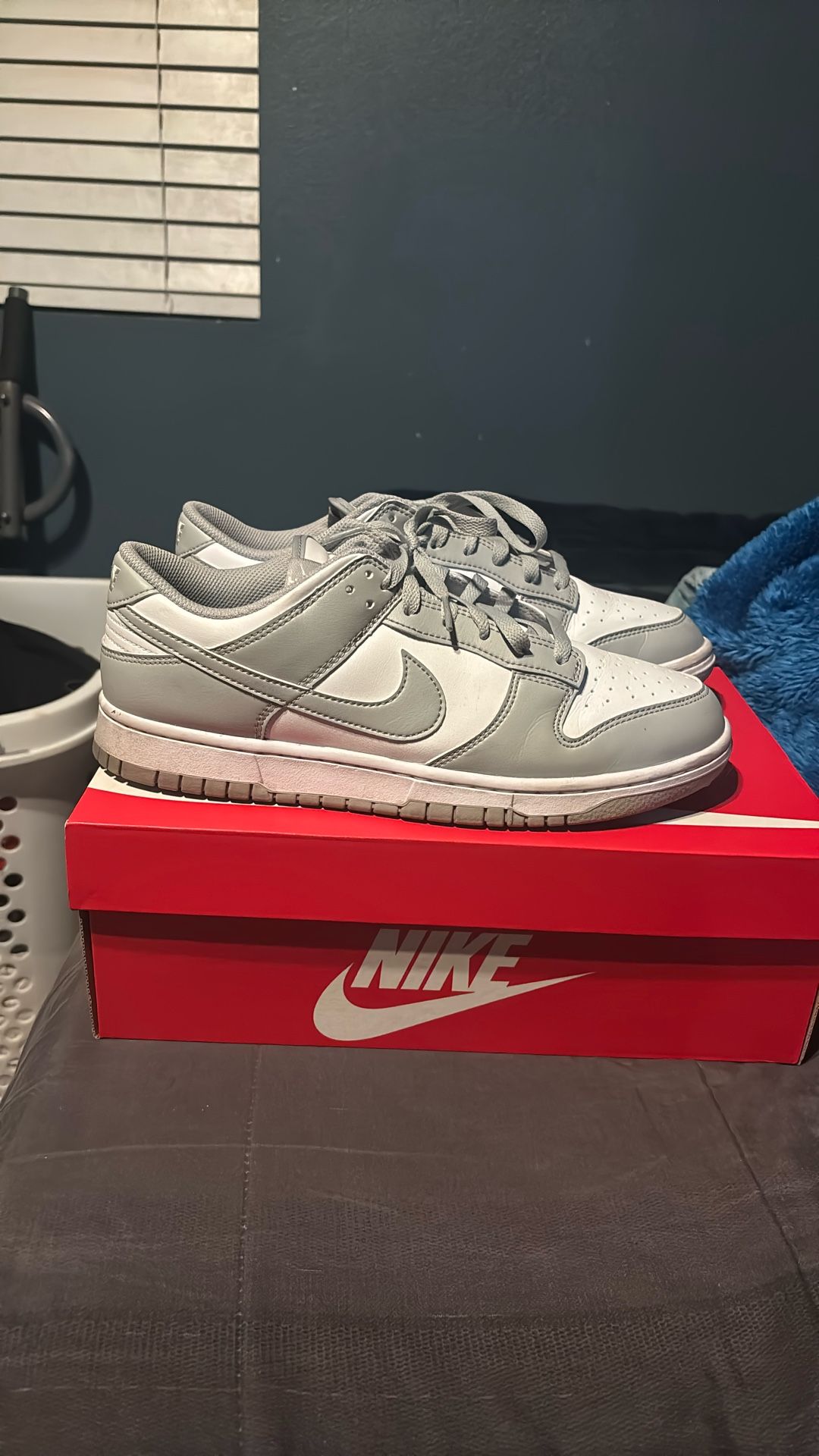Gray Nike Dunk