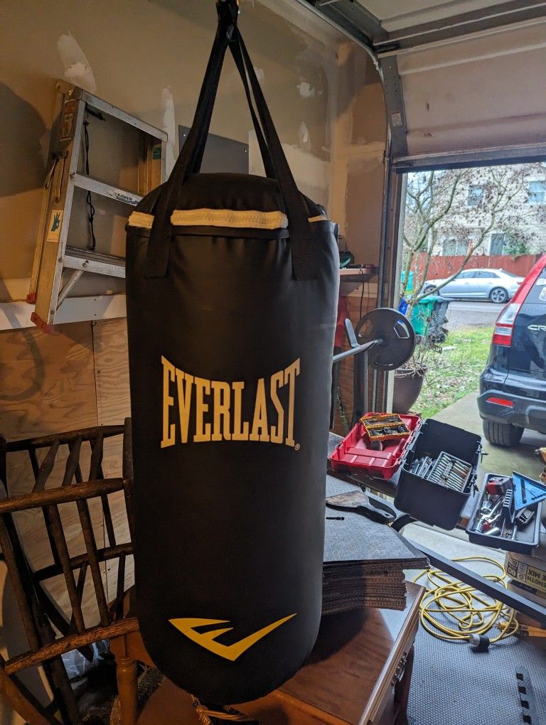 Small EVERLAST Punching Bag