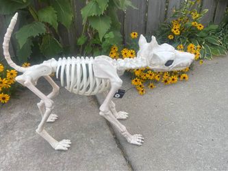 NEW - 2 headed animated barking dog with moving tail and jaws, lighted eyes - Halloween