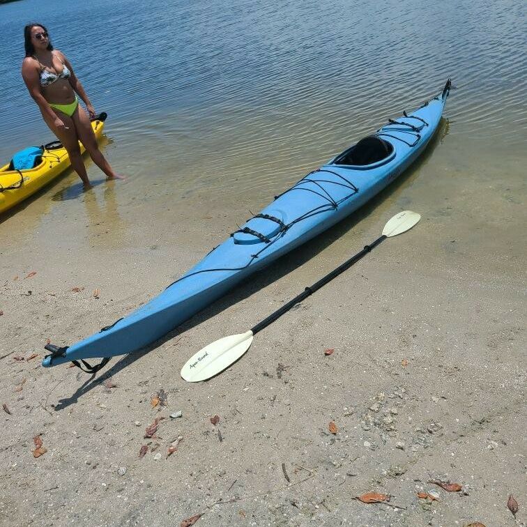 値下げ）シーカヤックWilderness Systems SEALUTION 5m Wilderness Sealution Kayak For Sale - AWESOME NEW AND USED KAYAKS