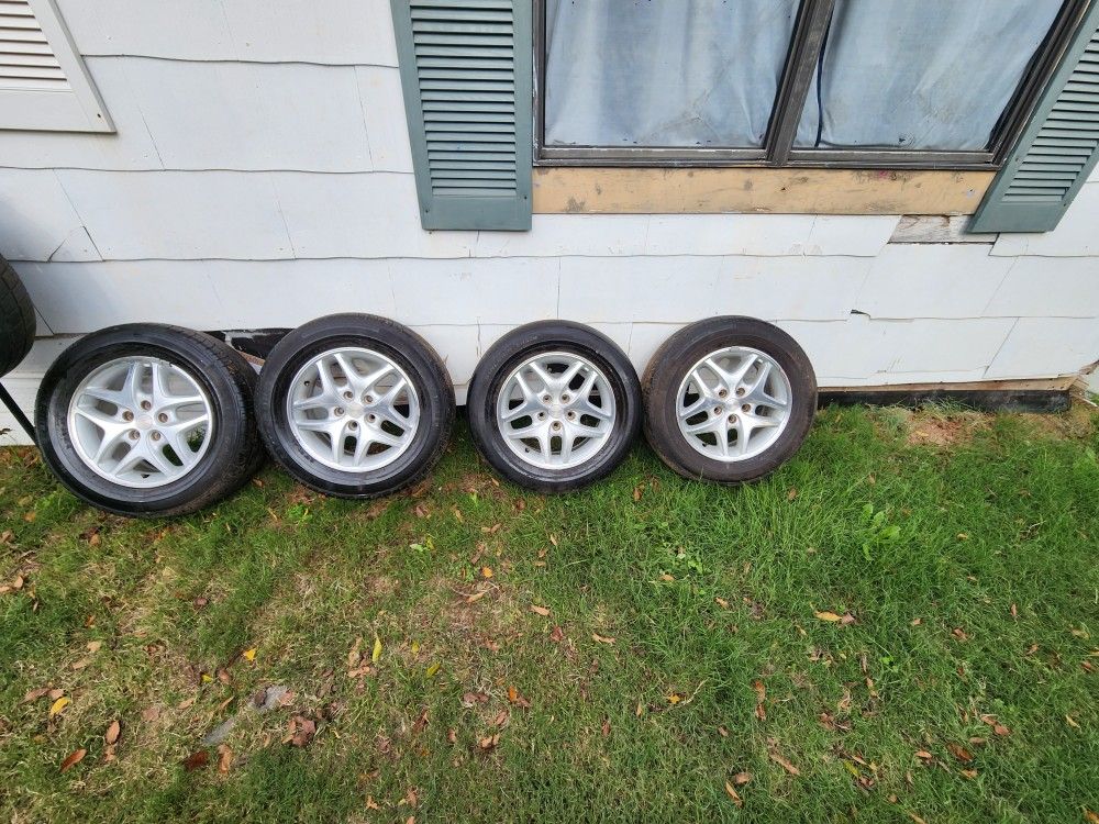 Miny Van Rims